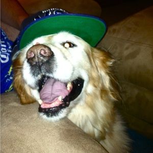 Meet your Posher, Liz